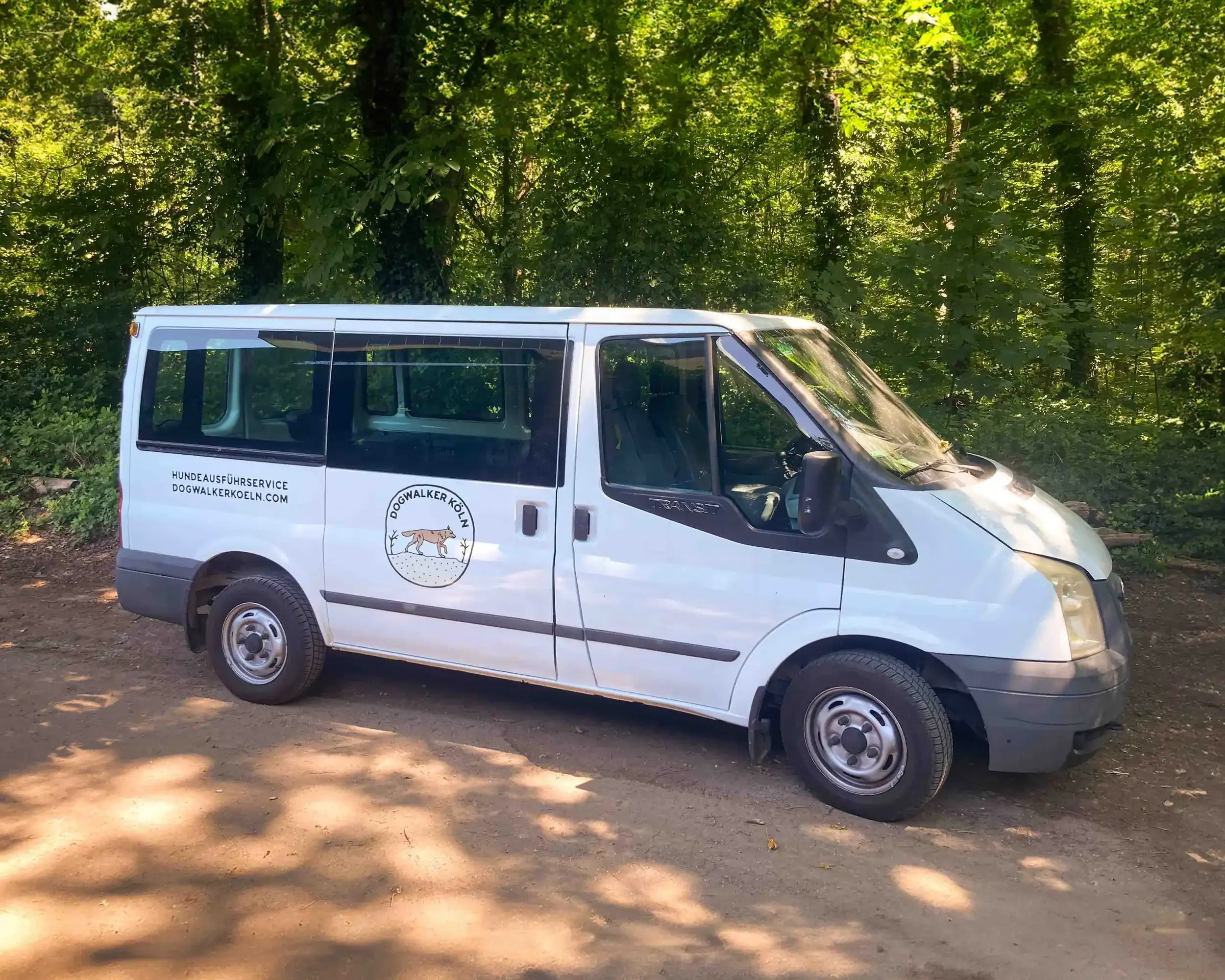 Ford Transit mit Hundeboxen