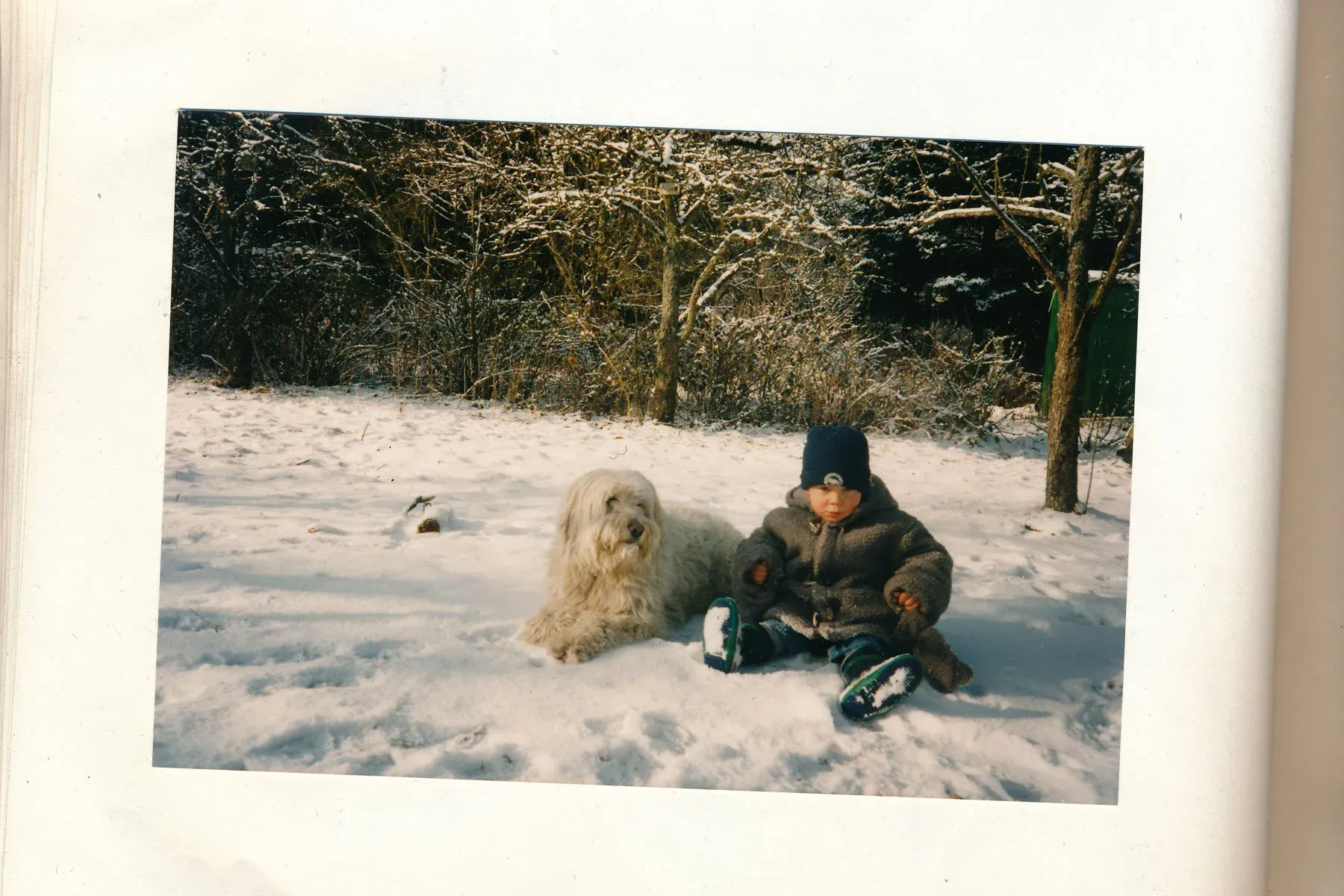 Kindheitsbild im Schnee mit Hund
