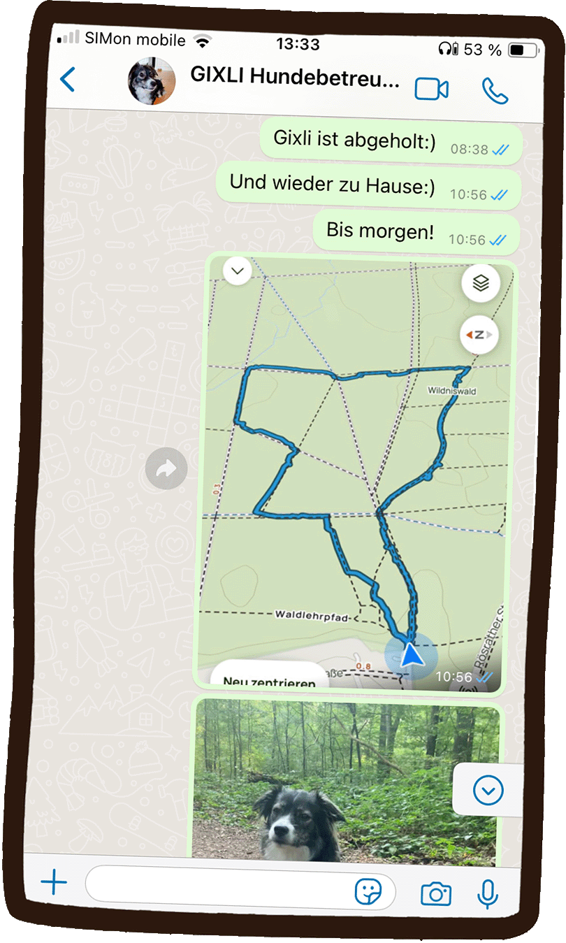 Beispiel-WhatsApp-Update mit Foto und GPS-Aufzeichnung